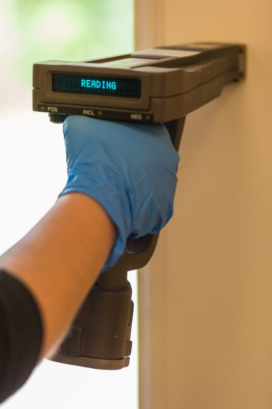 Lead Inspection Service